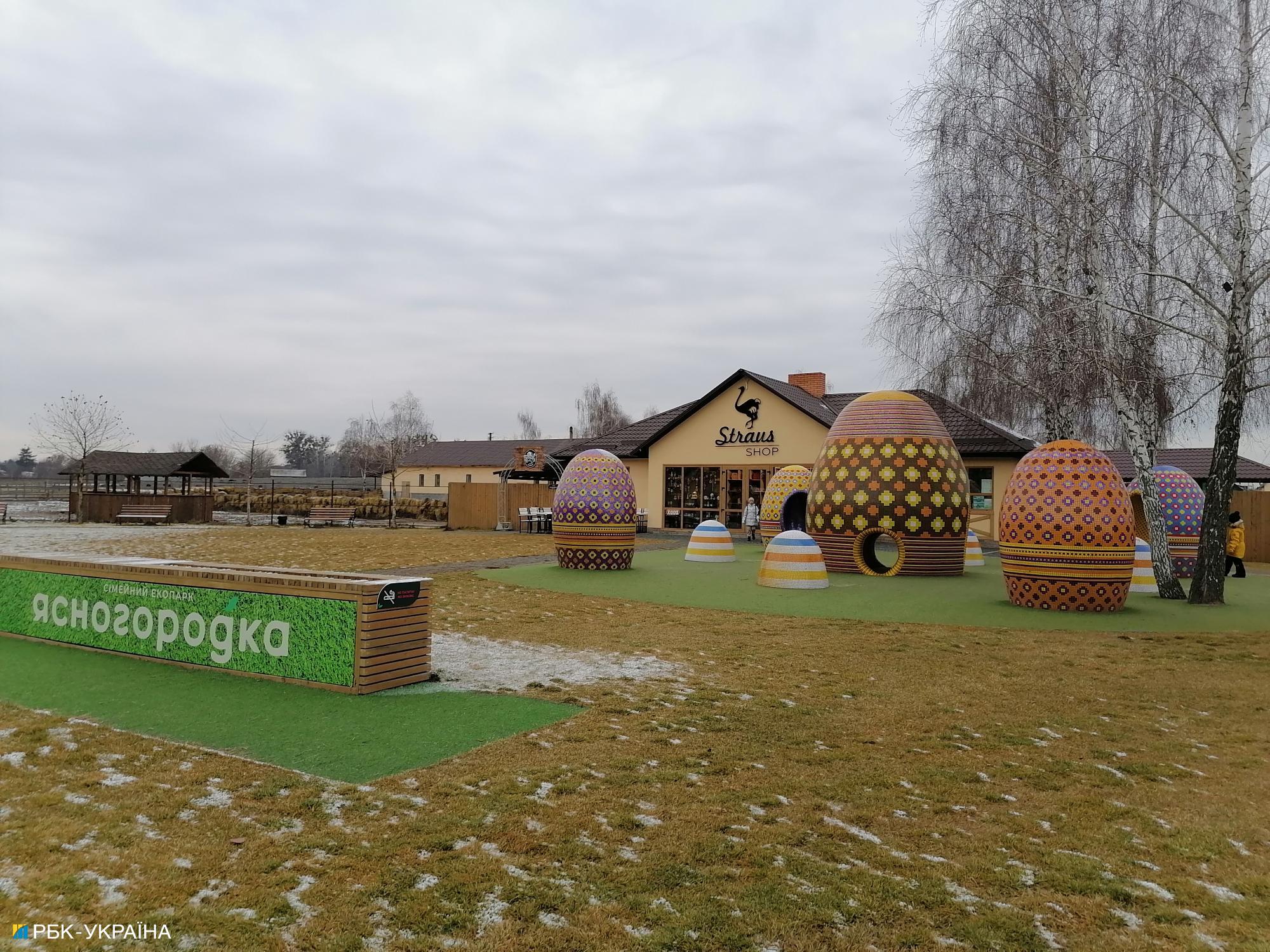 Долина страусів, льодяне озеро та локальні продукти. Ідеальний маршрут Київщиною для зимових вихідних